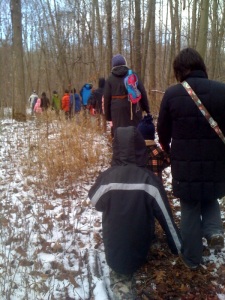 The group making their way to see beaver-chewed trees 